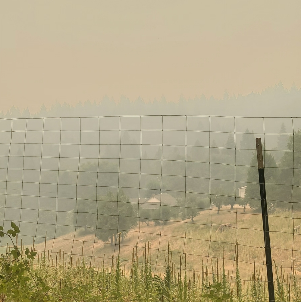 Kindness ONLY ZONE! No jerks ALLOWED! Kharma by Avelon - Picture 6 of 10